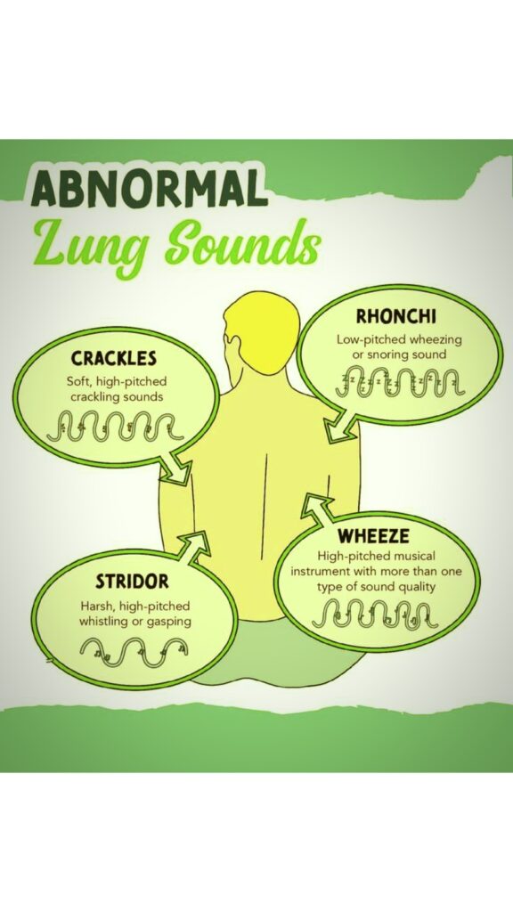 Abnormal lungs sounds in Human 