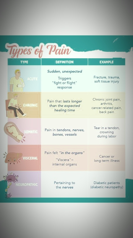 Types of pain in human 