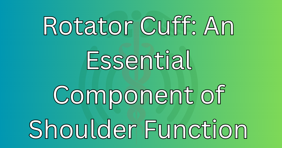 Rotator Cuff: An Essential Component of Shoulder Function